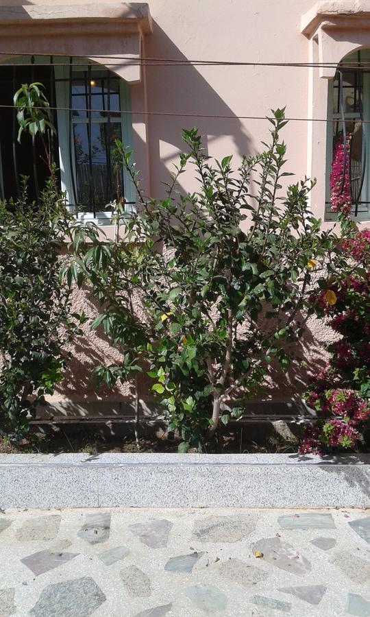 Adambeach Agadir Exterior photo